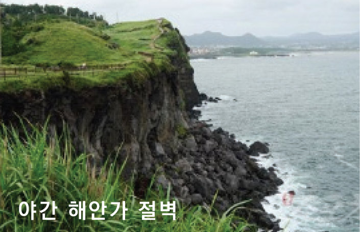 사례
