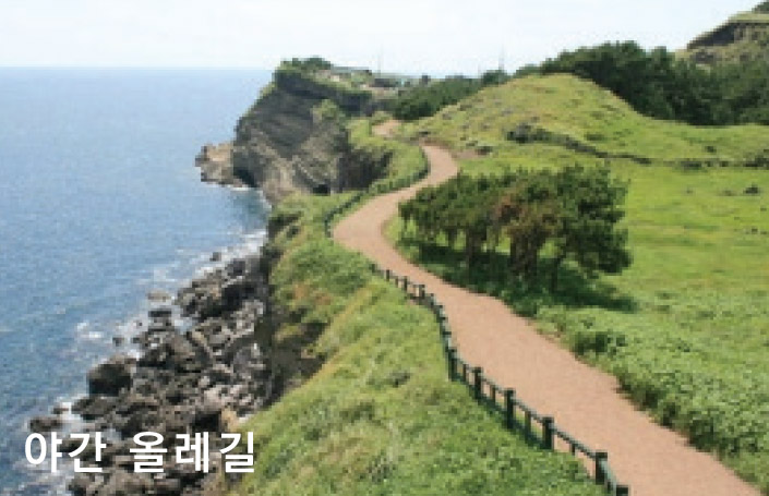 사례
